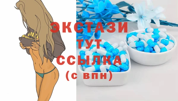 крисы Корсаков